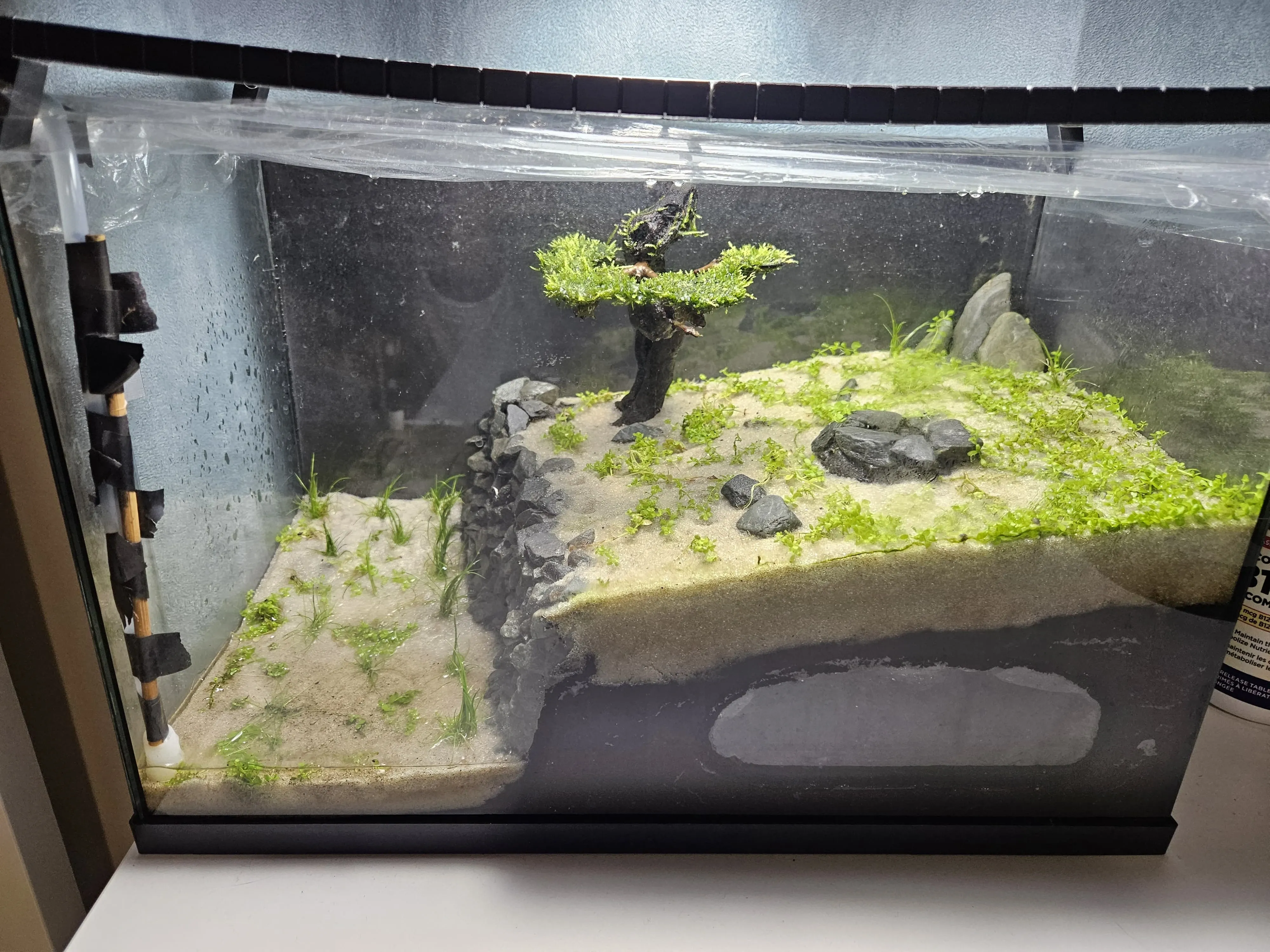 Aquarium 2.0 image 6